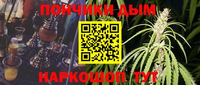 гидра Моздок