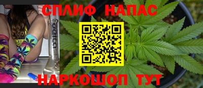 гидра Моздок