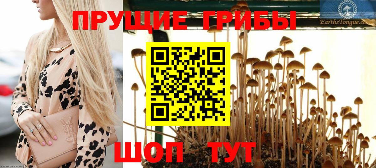 Галлюциногенные грибы прущие грибы  Вход с VPN  Шебекино  Галлюциногенные грибы мухоморы 